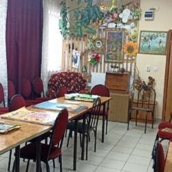 ДСОК Родник