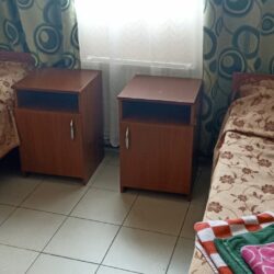 ДСОК Родник