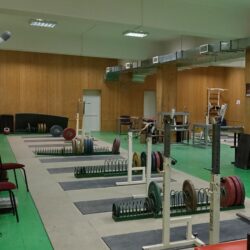 ДСОК Родник