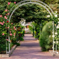 территория территория