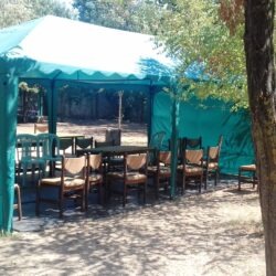 ДОЛ Дружба ДОЛ Дружба