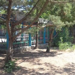 ДОЛ Дружба ДОЛ Дружба