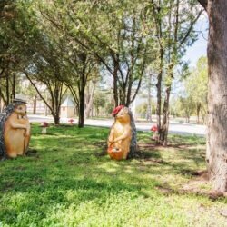 ДОЛ Дружба ДОЛ Дружба