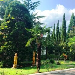 ДОЛ Кипарис