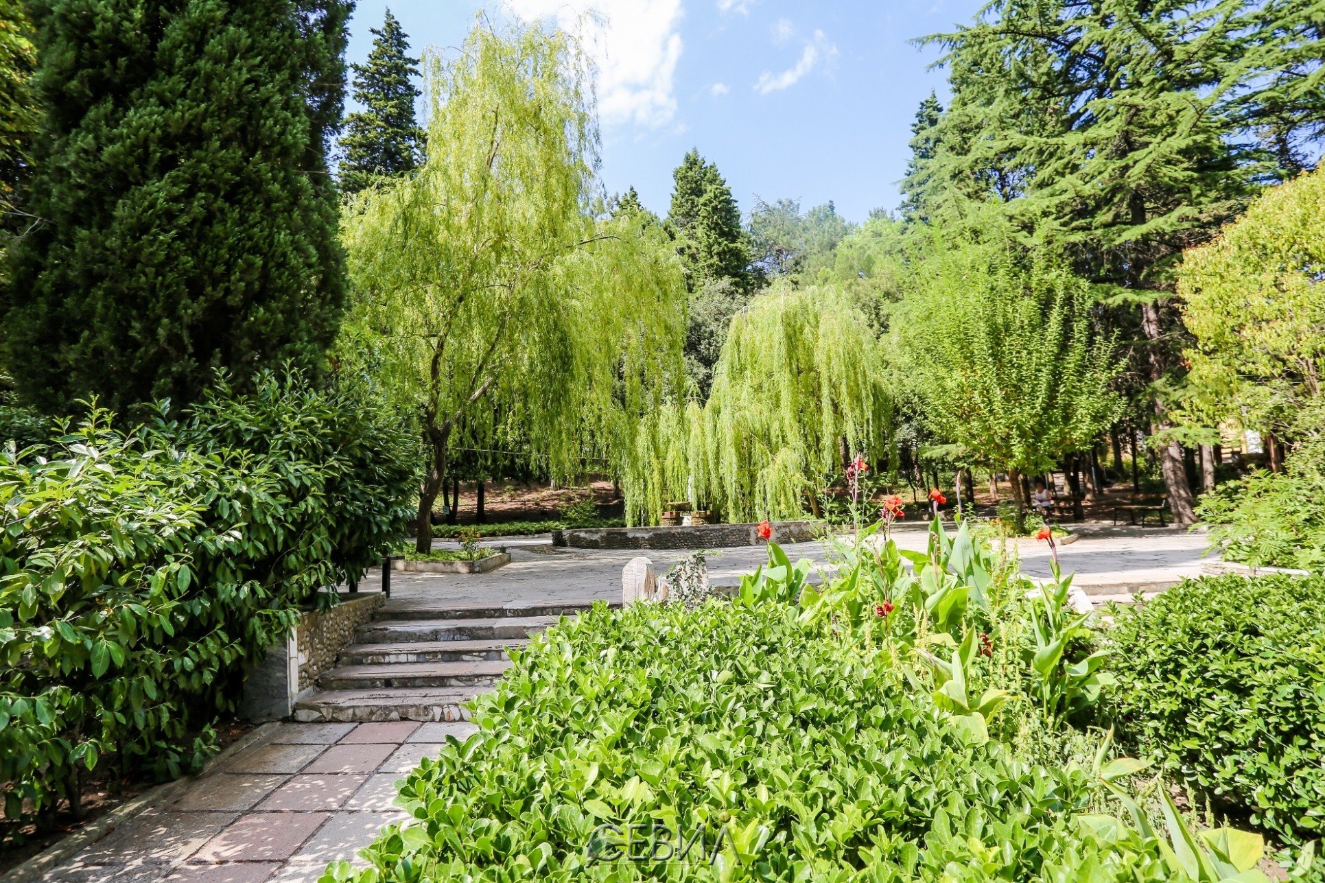 3871-7436.jpg 3871-7436.jpg