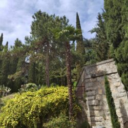 территория территория