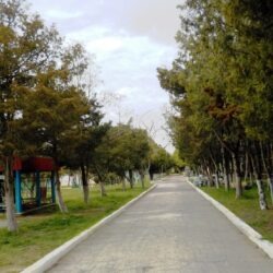 ДОЛ Дружба ДОЛ Дружба