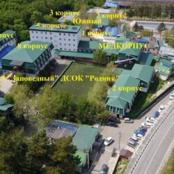 ДСОК Родник