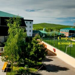 ДСОК Родник