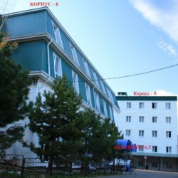 ДСОК Родник