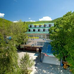 ДСОК Родник