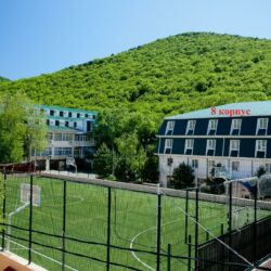 ДСОК Родник