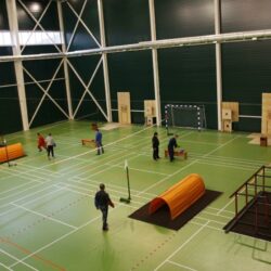 ДСОК Родник