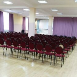 ДСОК Родник