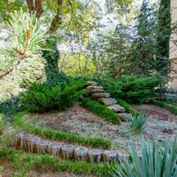 территория территория