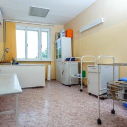 ДОЛ Гагарина