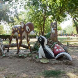 территория территория