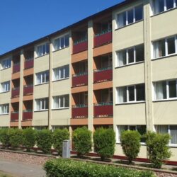 ДОЛ Лучистый