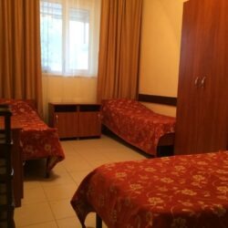 ДСОК Родник