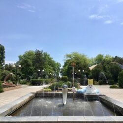 Детский оздоровительный лагерь 