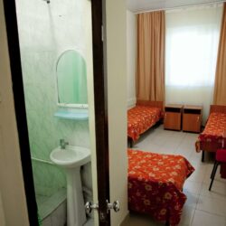 ДСОК Родник