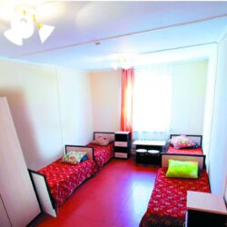 ДСОК Родник