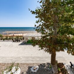 IMG_3897 copy IMG_3897 copy