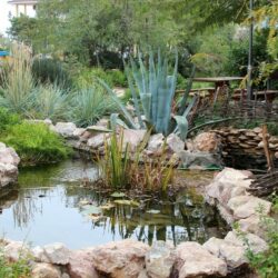 территория территория