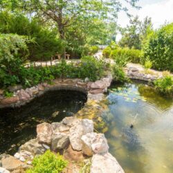 территория территория