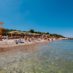 Детский оздоровительный лагерь 