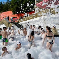 ДОЛ Созвездие