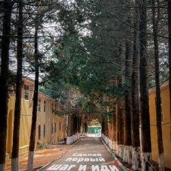 ДОЛ Созвездие