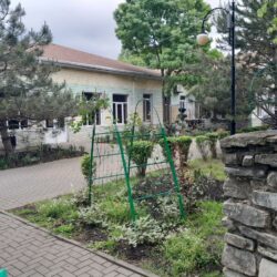 ДОЦ Медвежонок