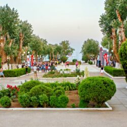 Детский оздоровительный лагерь 