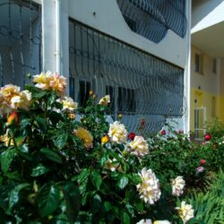 ДОЛ Гагарина