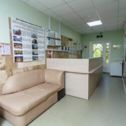 ДОЛ Гагарина